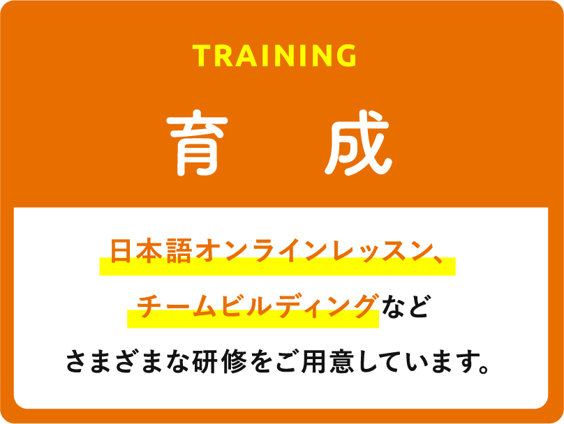 育成 日本語オンラインレッスン、チームビルディングなどさまざまな研修をご用意しています。
